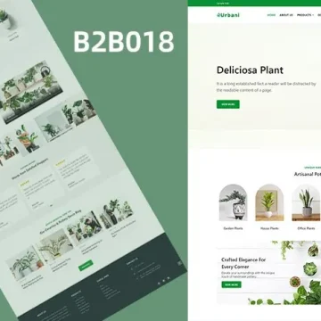 B2B官网|多肉绿植花园产品营销独立站一站式服务