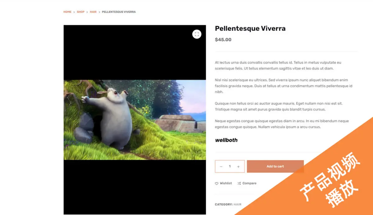 服装服饰商城模板 B2C外贸商城|WordPress独立站