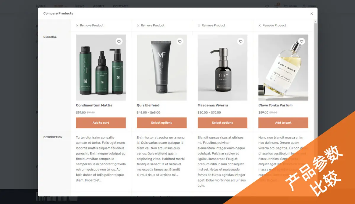 服装服饰商城模板 B2C外贸商城|WordPress独立站