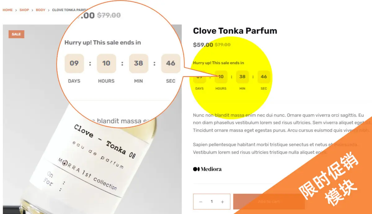 服装服饰商城模板 B2C外贸商城|WordPress独立站